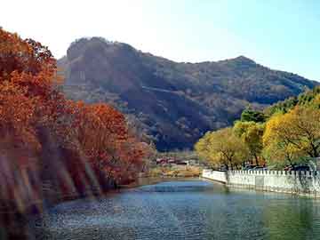 管家婆黑白马报图库，深圳地垫厂家